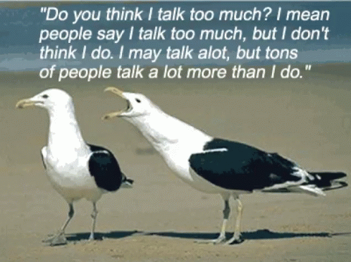 Seagulls Talking Loudly GIF