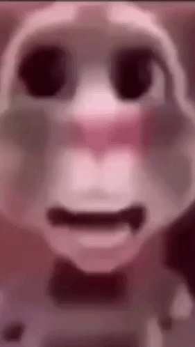 Talking Cat With Bow Tie GIF