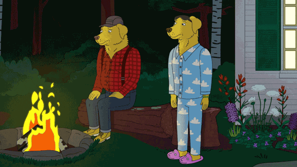 Talking Dogs Sit Down With Bonfire GIF