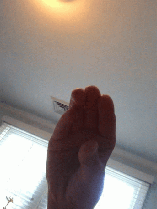 Talking Hand Funny Form GIF