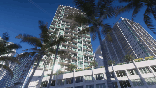 Tall Building With Windows and Palm Trees