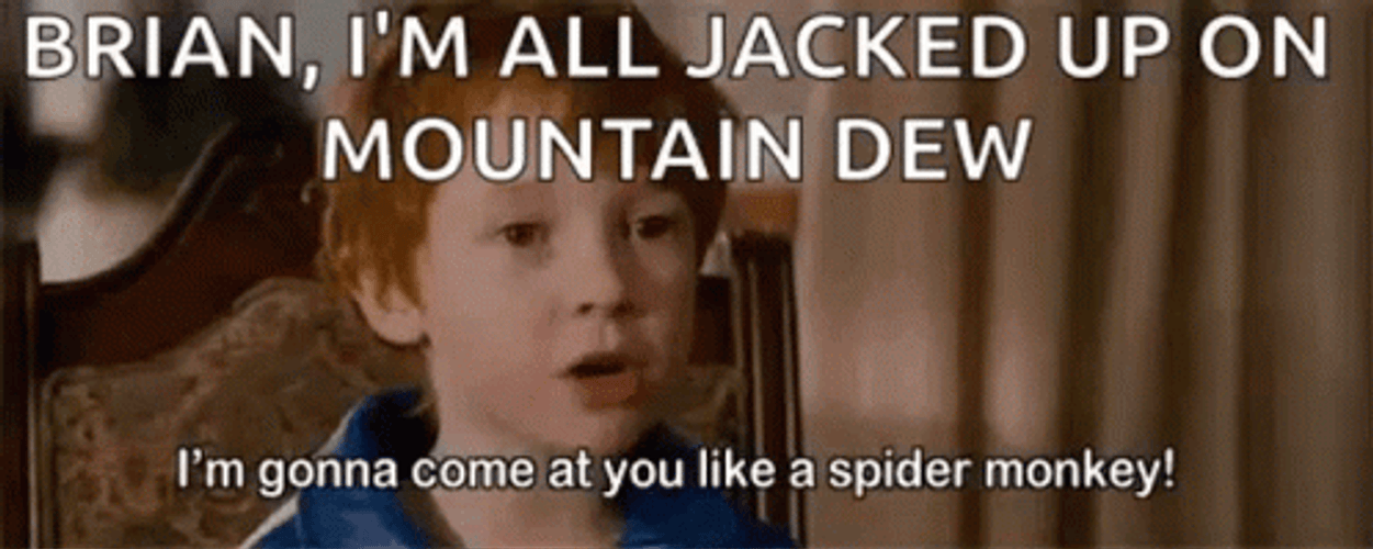 Talladega Nights Spider Monkey GIF