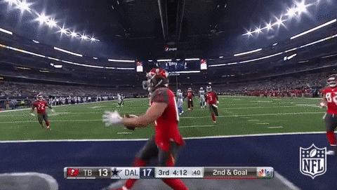 Tampa Bay Buccaneers Cameron Brate Touchdown GIF