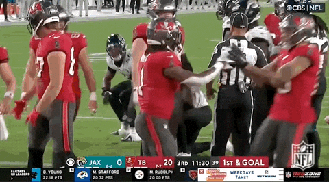 Tampa Bay Buccaneers Celebrating Rachaad White Touchdown GIF