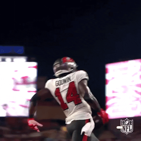 Tampa Bay Buccaneers Chris Godwin And Mike Evans GIF