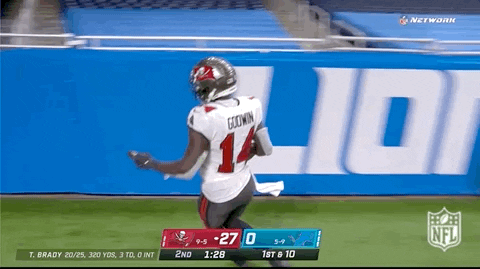 Tampa Bay Buccaneers Chris Godwin Touchdown GIF
