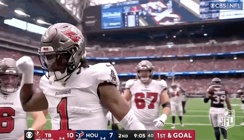 Tampa Bay Buccaneers Dancing GIF
