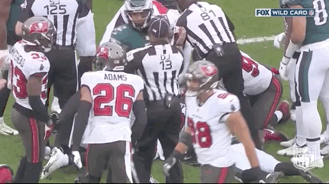 Tampa Bay Buccaneers In A Fight GIF