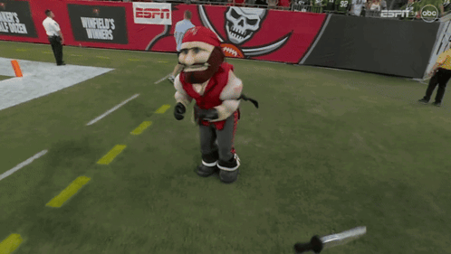 Tampa Bay Buccaneers Mascot Running On Field GIF