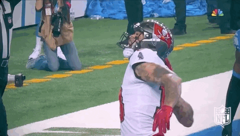 Tampa Bay Buccaneers Michael Lynn Evans Iii GIF