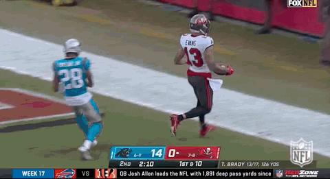 Tampa Bay Buccaneers Mike Evans Touchdown GIF