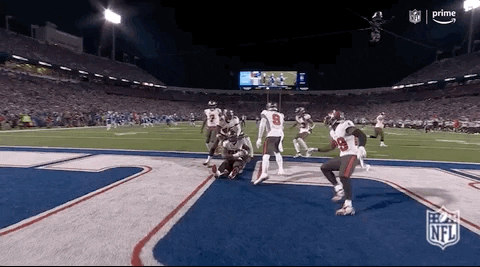 Tampa Bay Buccaneers Row Boat Celebration GIF