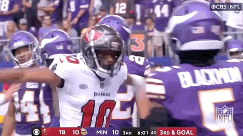 Tampa Bay Buccaneers Trey Palmer Touchdown GIF
