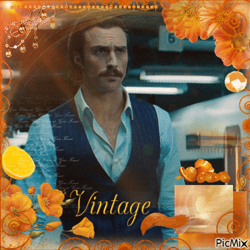 Tangerine Bullet Train Gif GIF