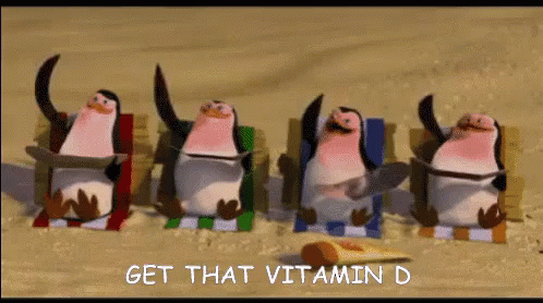 Tanning Penguins Of Madagascar GIF