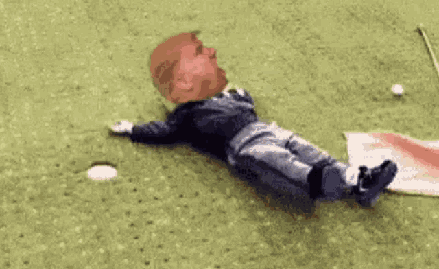 Tantrum Donald Trump Meme GIF