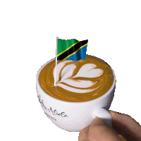 Tanzania United Republic Of Tanzania Sticker GIF