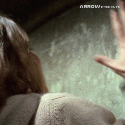 Tapping On Wall Let Me In Meme GIF