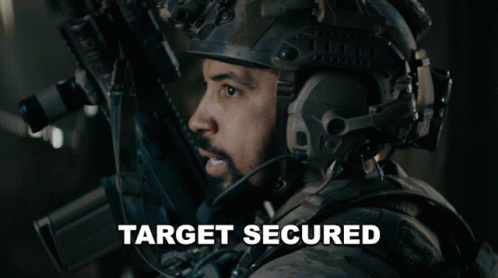 Target Secure Seal Team GIF
