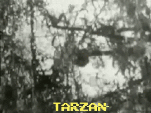 Tarzan Johnny Weismuller Walk Yell GIF