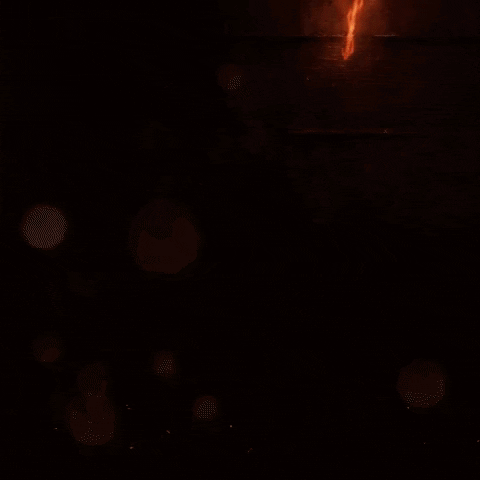 Taste Of Elegance Filet Mignon GIF