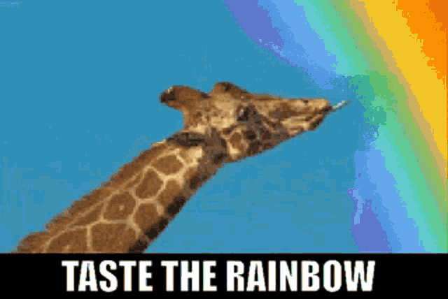 Taste The Rainbow Giraffe Gif GIF