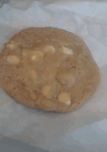 Tasty Cookie Golden Brown Hue GIF