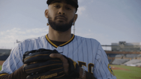 Tatis Jr Gloves GIF