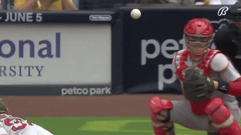 Tatis Jr Sportsbetting GIF