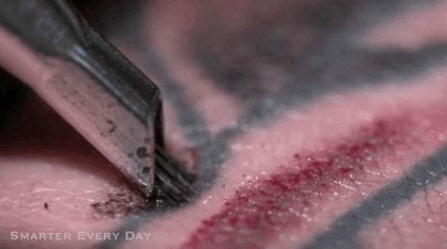 Slowmotion Tattoo Inking GIF