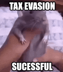 Tax Evasion Sucessful Taxevasionsucessful Gif GIF