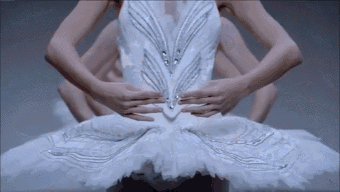 Taylor Swift Ballet Shake It Off GIF