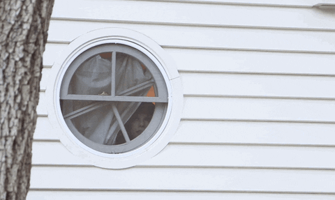 Taylor Swift Creeper In The Window GIF