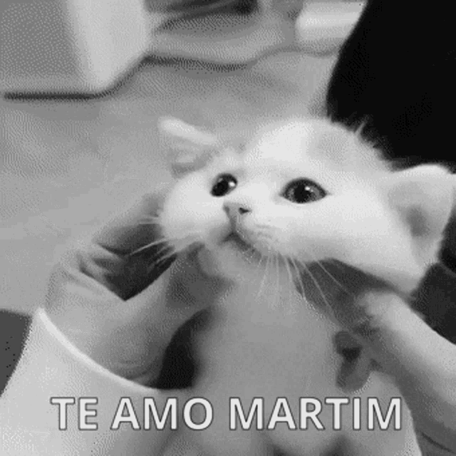Te Amo Cheeks Massage Cute Cat GIF