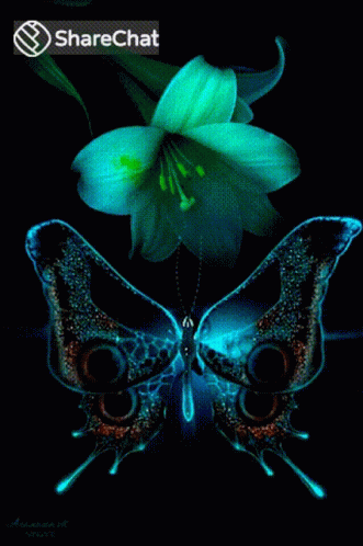 Teal Flower And Butterfly GIF