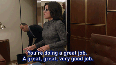 Team Awesome Selina Meyer Says Good Job GIF