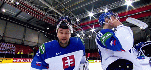 Team Slovakia Hockey Player Julius Hudacek GIF