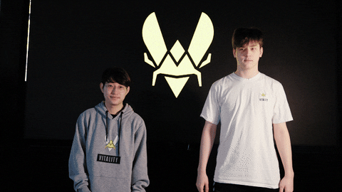 Team Vitality Fusion Pose GIF
