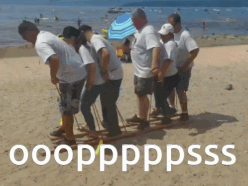 Teamwork Meme Sand Bar Walking GIF