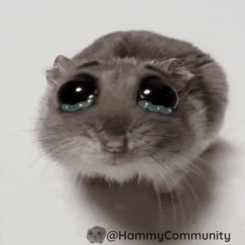 Sad Hamster GIFs GIFDB