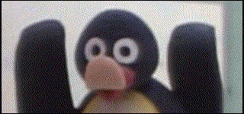 Teasing Noot Noot Meme GIF