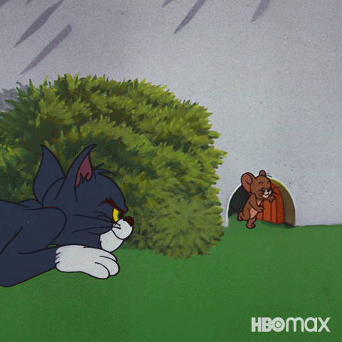 Teasing Prank Tom And Jerry GIF