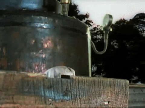 Teasing Train Classic Movie GIF