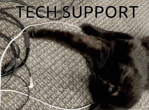 Technical Difficulties Black Cat GIF