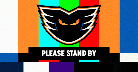 Technical Difficulties Lehigh Valley Phantoms GIF