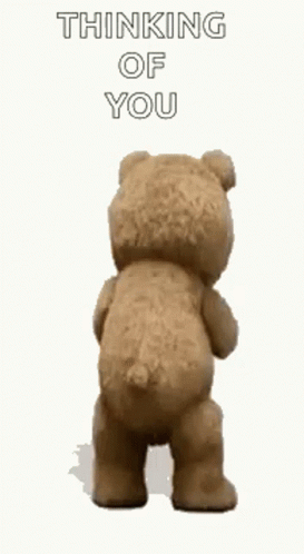 Ted Thinking Of You GIF