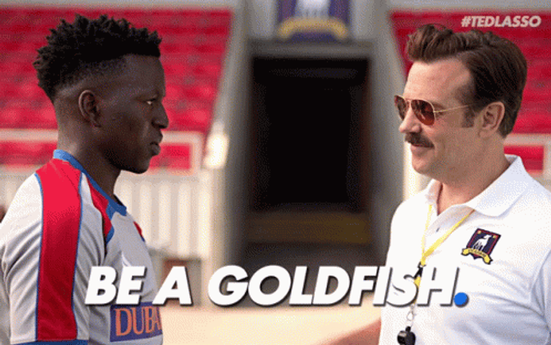Ted Lasso Be A Goldfish GIF