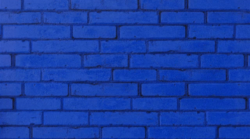 Ted Lasso Believe Sign On Blue Wall GIF
