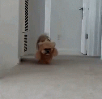 Ted Running Towards Door GIF