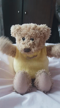 Teddy Bear Excited Hello GIF